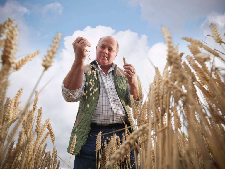 EFSA วางแผนรับมือความเปลี่ยนแปลงด้านความปลอดภัยอาหารอย่างไร