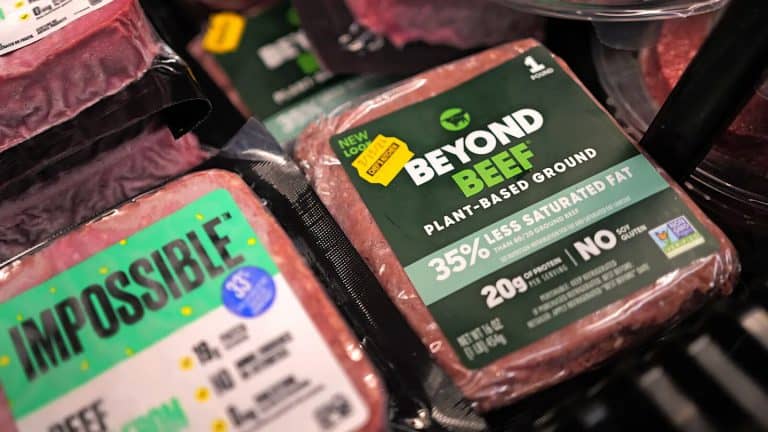 นักลงทุนพลาดโอกาส FoodTech AI เหตุแอปพลิเคชั่นยังน้อย