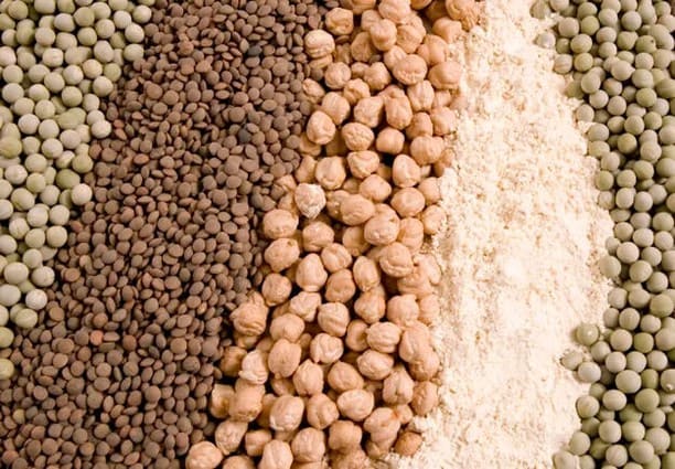 ธัญพืชและพืชตระกูลถั่ว: ทางออกให้แบรนด์อาหารฝ่ากระแสดราม่าโภชนาการ