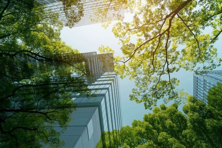 RSPO ได้รับการยอมรับในเนเธอร์แลนด์: รัฐและองค์กรอิสระร่วมมือรับมือ EUDR ได้อย่างไร