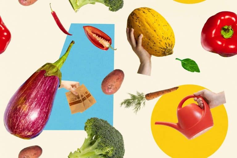 2025 ปีทองเทรนด์สุขภาพ: ผู้บริโภคแห่หาอาหารคลีน ส่วนผสมฟังก์ชันมาแรง!