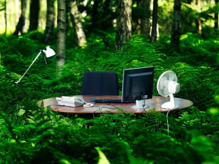 เลื่อน EUDR: แรงกดดันการเมือง หรือ ความพร้อมของอุตสาหกรรม?