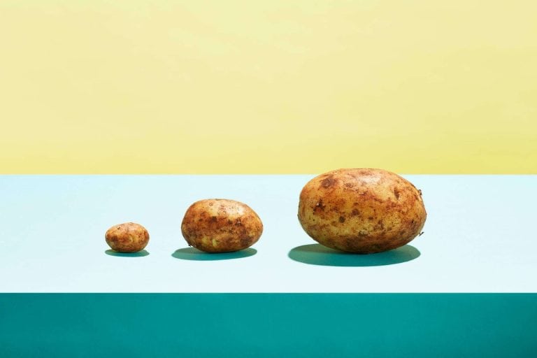 โปรตีนจากมันฝรั่ง: ตลาดเตรียมขยายตัว ตอบโจทย์สุขภาพและผลิตได้จริง